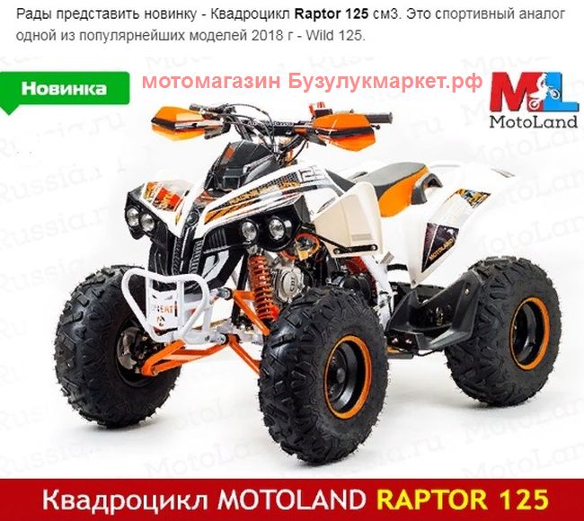 Квадроцикл MotoLand Raptor 125, фото